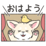 動く♪ 毎日使えるチワワのスタンプ