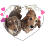 ラムたんとお友達