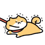 ゆるい柴犬さん