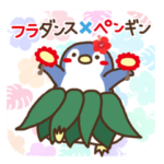 フラダンス×ペンギン