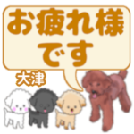 大津「おおつ」さんのトイプードル会話