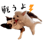 チェルシーの日常会話スタンプ2