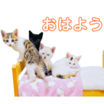 ポッキーと10匹の子供達