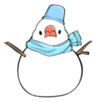 冬のふくふく文鳥