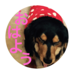 キャンディ 鹿児島弁