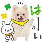 かわいい犬たち　毎日使える