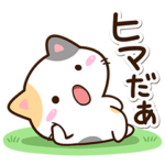 毎日元気な☆小さい三毛猫