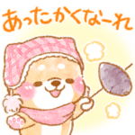 冬の思いやり❤️いやしばいぬ❤️