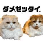 万能ヌコスタンプ。ゴルフお誘いあり