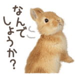 うさピョン☆敬語スタンプ