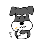 シュナウザーとみいち