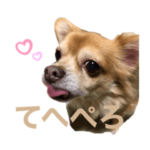 ラルフ&ローレン