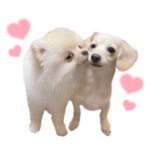 ルークともちまる