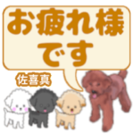 佐喜真「さきま」さんのトイプードル会話