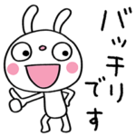仕事連絡☆ふんわかウサギ