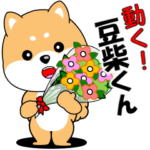 動く！豆柴くん