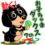 動く！お子ちゃまダックス７