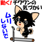 動く！チワワンの気づかい