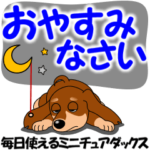 動く！毎日使えるミニチュアダックス