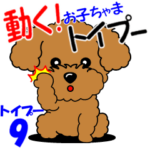 動く！お子ちゃまトイプー９