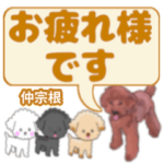 仲宗根「なかそね」さんのトイプードル会話