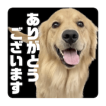 びすけ物語／mimi27