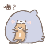 Chubby Shark – ChubbyShark and cat 