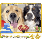 びすけ物語／mimi25