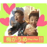 とりいブラザーズ♪2018