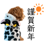 丑年はなちゃん