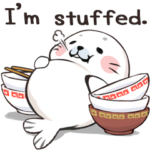 アザラシの赤ちゃん