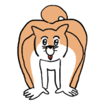 なにかがおかしい柴犬