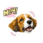 コイケルパピーのペネロペちゃん