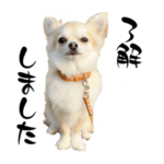 ラムちゃんスタンプ⭐︎⭐︎⭐︎⭐︎