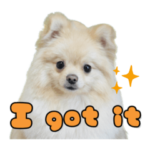 ポメラニアンの餅丸スタンプ　英語ver