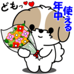 飛び出すシーズー「年中使える」