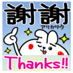 自由なウサギ。