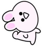 重い愛を伝えてくる♡ミニうさぎ。再販