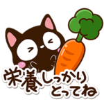 毎日便利な小さい黒猫