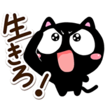 ねこたちが全力で応援します