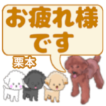 栗本「くりもと」さんのトイプードル会話