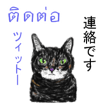 タイ語ニャンズ  4