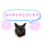 寿限無のビジネス講座