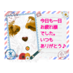 いつもお仕事有難う♪お疲れ様だけ♪