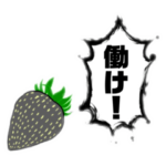 ブラック企業のいちご