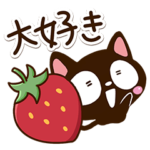 気持ちを伝える☆小さい黒猫