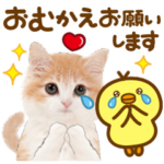 かわいい猫❤️家族連絡❤️ネコ❤️便利