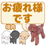 垣内「かきうち」さんのトイプードル会話