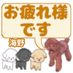 海野「うみの」さんのトイプードル会話