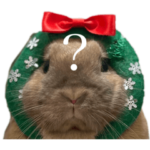 うさぎのもこさん